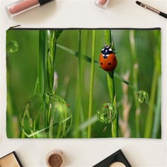 Ladybird Cosmetic Bag (xxxl)