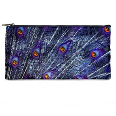 Peacock Feathers Color Plumage Pencil Cases