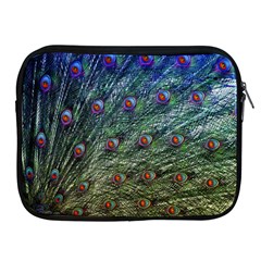 Peacock Feathers Colorful Feather Apple Ipad 2/3/4 Zipper Cases