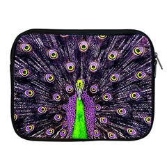 Peacock Bird Color Apple Ipad 2/3/4 Zipper Cases