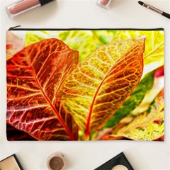 Leaves Plant Pattern Croton Nature Cosmetic Bag (xxxl)